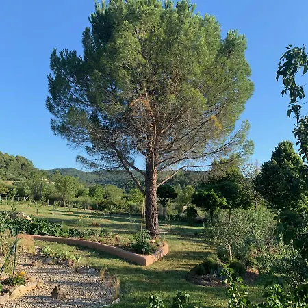 D'hotes Le Cedre Bed & Breakfast *