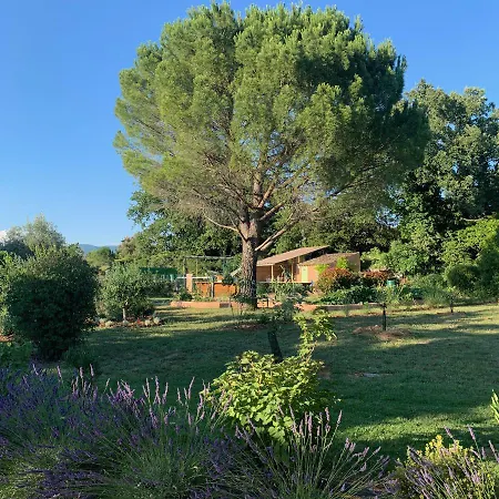 Bed & Breakfast D'hotes Le Cedre Apt